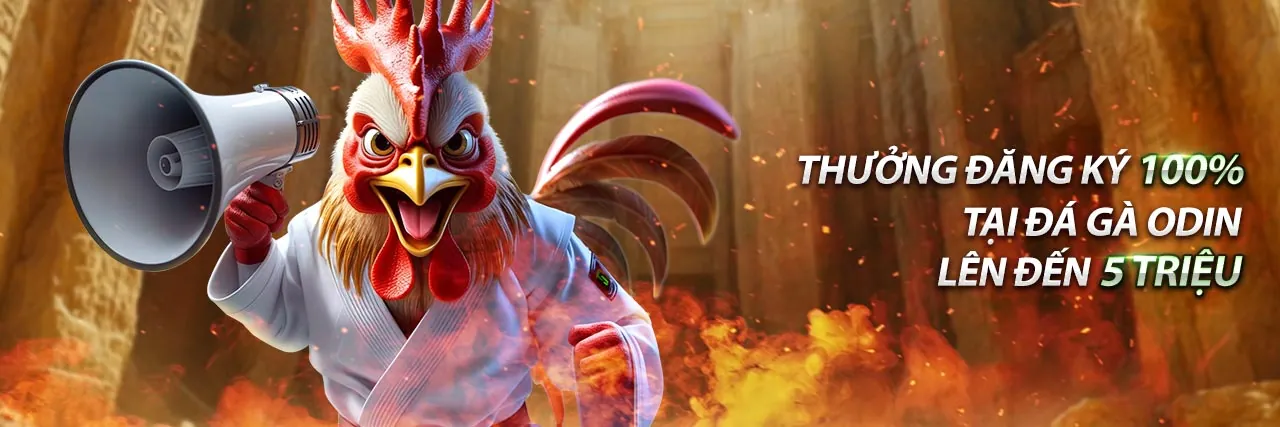 Chương Trình VIP 999ok Casino