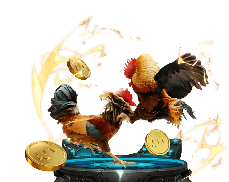 Biểu tượng email hỗ trợ của 999ok casino